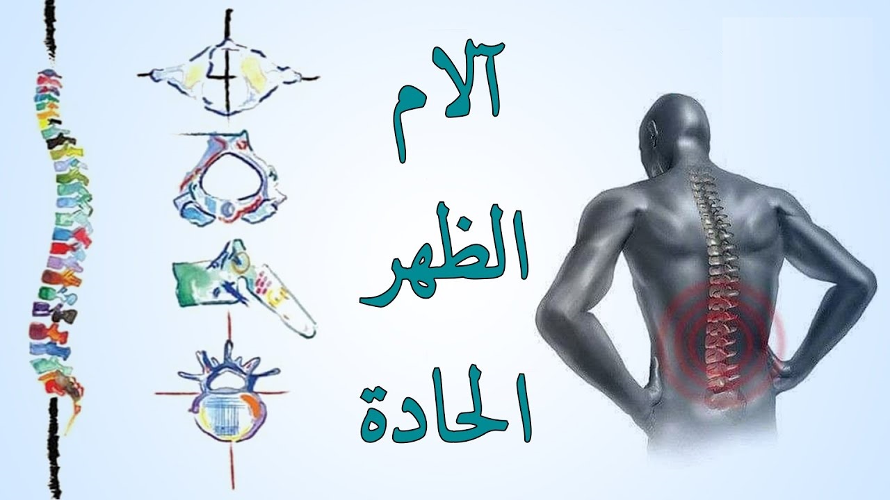 آلام الظهر المزمنة حلول علاجية مبتكرة مع العلاج الطبيعي 1 آلام الظهر المزمنة حلول علاجية مبتكرة مع العلاج الطبيعي