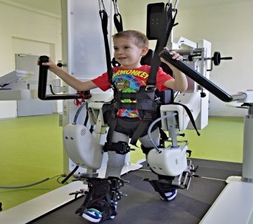 دور الأجهزة المساعدة