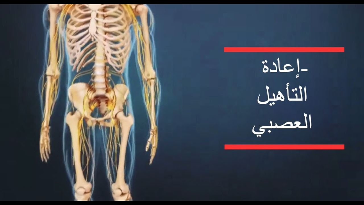 كيف يُساعد التأهيل العصبي في استعادة الحركة والقدرات الحسية؟ 1 التأهيل العصبي